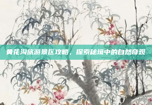 黄花沟旅游景区攻略，探索秘境中的自然奇观