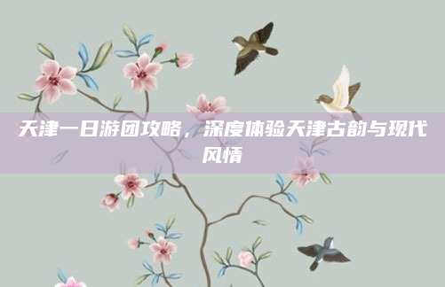 天津一日游团攻略,深度体验天津古韵与现代风情