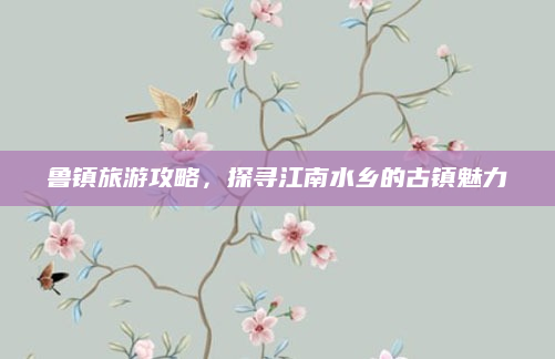 鲁镇旅游攻略，探寻江南水乡的古镇魅力