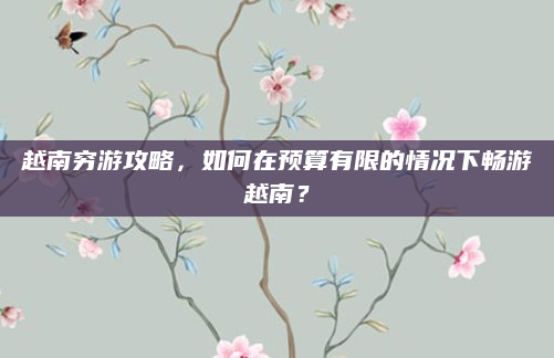 越南穷游攻略,如何在预算有限的情况下畅游越南?