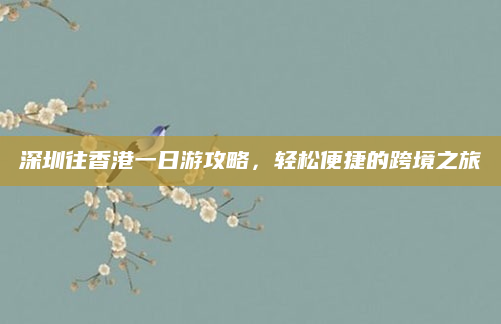 深圳往香港一日游攻略，轻松便捷的跨境之旅