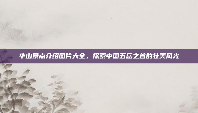华山景点介绍图片大全,探索中国五岳之首的壮美风光