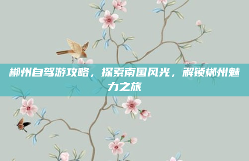 郴州自驾游攻略,探索南国风光,解锁郴州魅力之旅