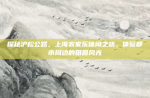 探秘沪松公路,上海农家乐休闲之旅,体验都市周边的田园风光