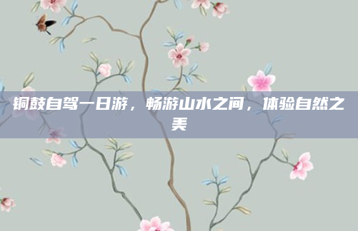 铜鼓自驾一日游,畅游山水之间,体验自然之美