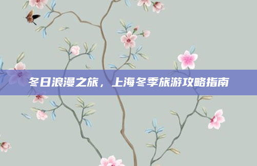 冬日浪漫之旅，上海冬季旅游攻略指南