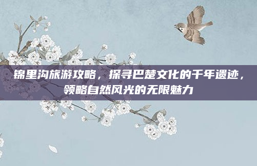 锦里沟旅游攻略，探寻巴楚文化的千年遗迹，领略自然风光的无限魅力