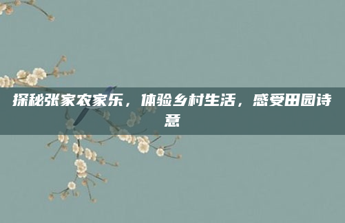 探秘张家农家乐，体验乡村生活，感受田园诗意