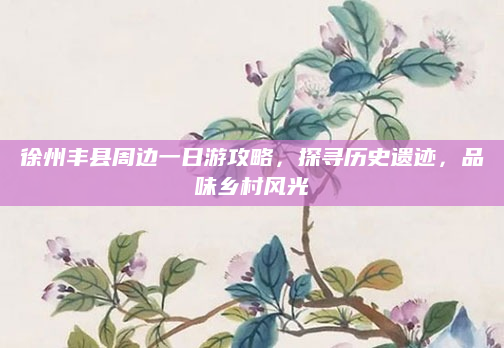 徐州丰县周边一日游攻略,探寻历史遗迹,品味乡村风光