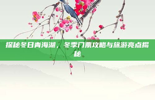 探秘冬日青海湖，冬季门票攻略与旅游亮点揭秘