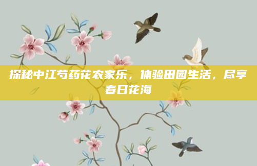 探秘中江芍药花农家乐,体验田园生活,尽享春日花海
