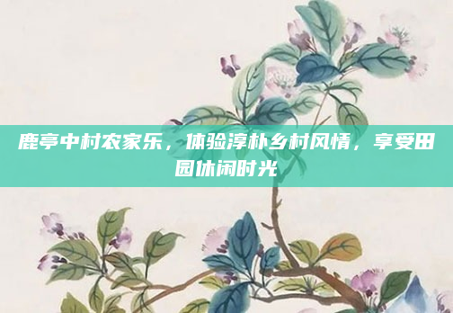 鹿亭中村农家乐,体验淳朴乡村风情,享受田园休闲时光