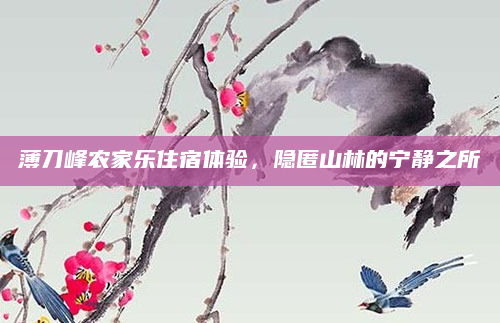 薄刀峰农家乐住宿体验，隐匿山林的宁静之所