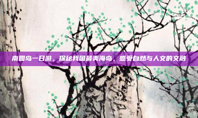南园岛一日游，探秘我国最美海岛，感受自然与人文的交融