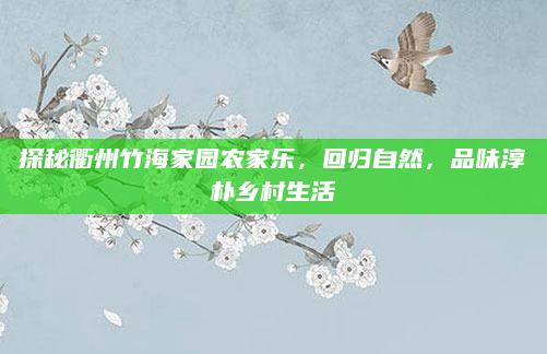探秘衢州竹海家园农家乐,回归自然,品味淳朴乡村生活