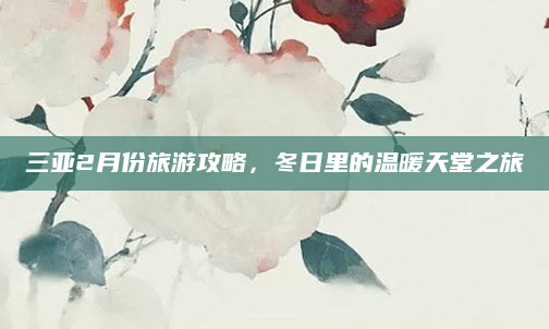 三亚2月份旅游攻略,冬日里的温暖天堂之旅