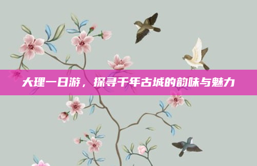 大理一日游,探寻千年古城的韵味与魅力