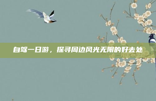 自驾一日游，探寻周边风光无限的好去处