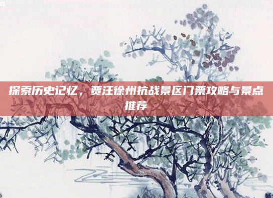 探索历史记忆，贾汪徐州抗战景区门票攻略与景点推荐