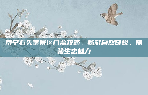 南宁石头寨景区门票攻略，畅游自然奇观，体验生态魅力