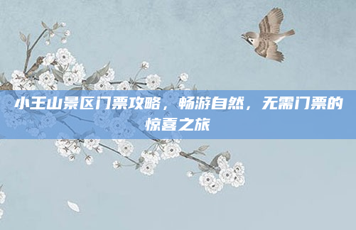 小王山景区门票攻略,畅游自然,无需门票的惊喜之旅