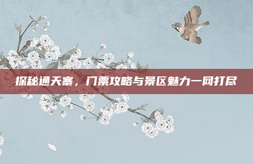 探秘通天寨,门票攻略与景区魅力一网打尽