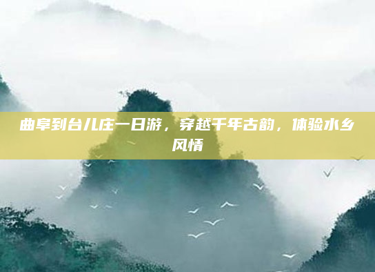 曲阜到台儿庄一日游,穿越千年古韵,体验水乡风情