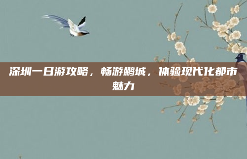 深圳一日游攻略,畅游鹏城,体验现代化都市魅力