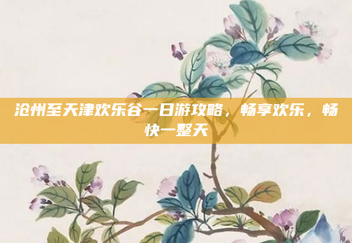 沧州至天津欢乐谷一日游攻略,畅享欢乐,畅快一整天