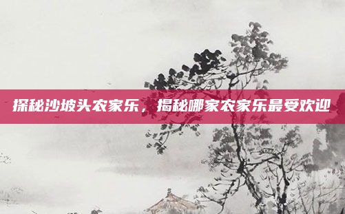 探秘沙坡头农家乐,揭秘哪家农家乐最受欢迎