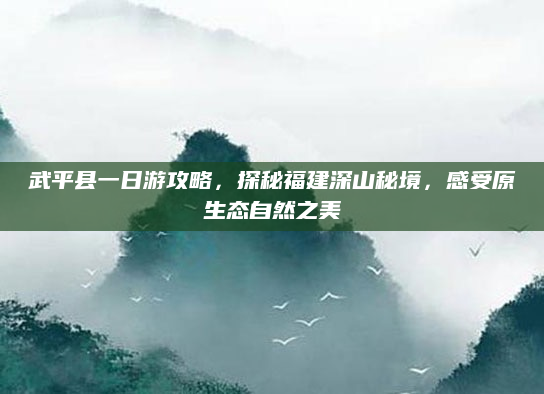 武平县一日游攻略，探秘福建深山秘境，感受原生态自然之美