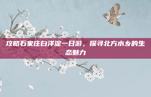 攻略石家庄白洋淀一日游,探寻北方水乡的生态魅力