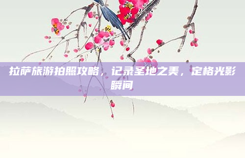 拉萨旅游拍照攻略,记录圣地之美,定格光影瞬间