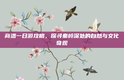 商洛一日游攻略,探寻秦岭深处的自然与文化奇观