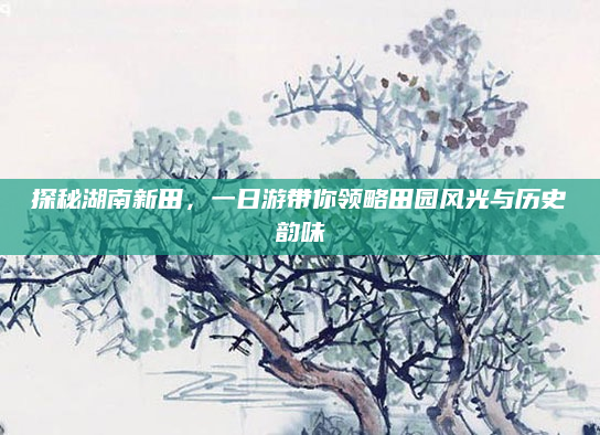 探秘湖南新田,一日游带你领略田园风光与历史韵味