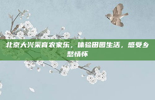 北京大兴采育农家乐，体验田园生活，感受乡愁情怀