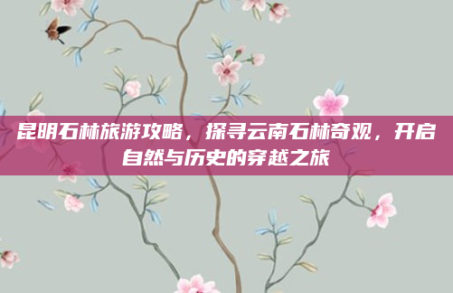 昆明石林旅游攻略，探寻云南石林奇观，开启自然与历史的穿越之旅