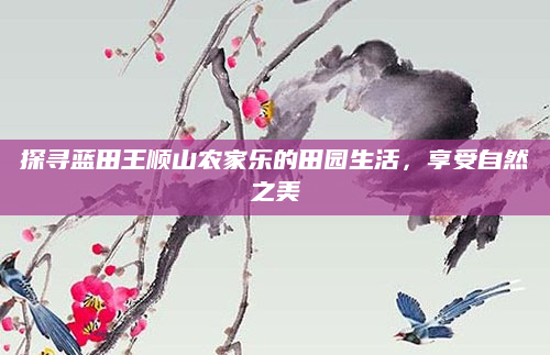 探寻蓝田王顺山农家乐的田园生活,享受自然之美