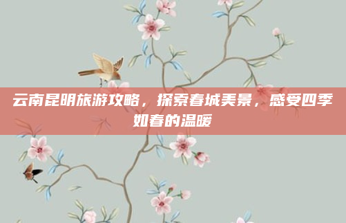 云南昆明旅游攻略,探索春城美景,感受四季如春的温暖