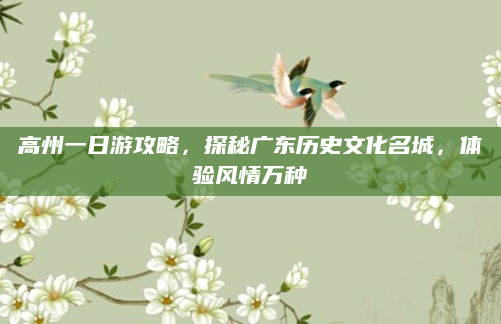 高州一日游攻略,探秘广东历史文化名城,体验风情万种