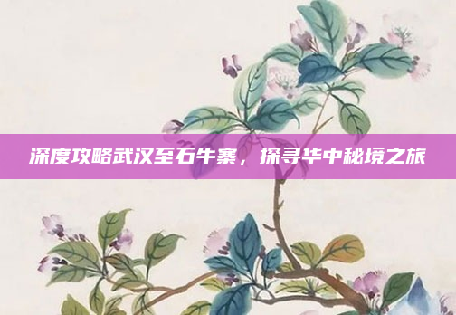 深度攻略武汉至石牛寨，探寻华中秘境之旅