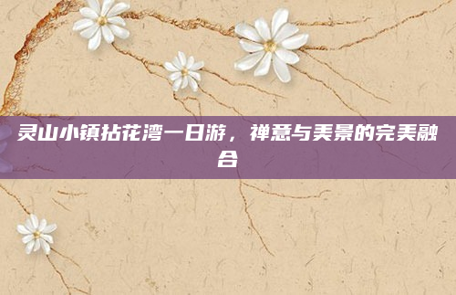 灵山小镇拈花湾一日游，禅意与美景的完美融合