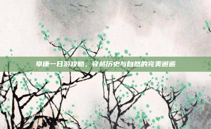 阜康一日游攻略，穿越历史与自然的完美邂逅