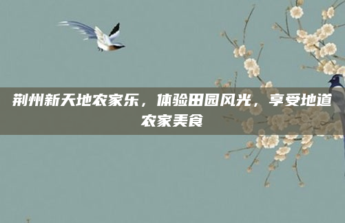 荆州新天地农家乐，体验田园风光，享受地道农家美食