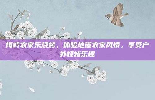 梅岭农家乐烧烤,体验地道农家风情,享受户外烧烤乐趣