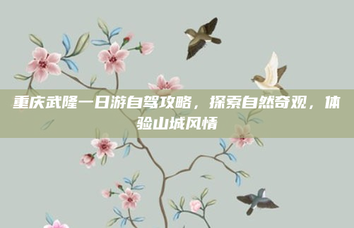 重庆武隆一日游自驾攻略，探索自然奇观，体验山城风情