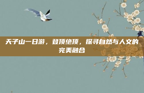 天子山一日游,登顶绝顶,探寻自然与人文的完美融合