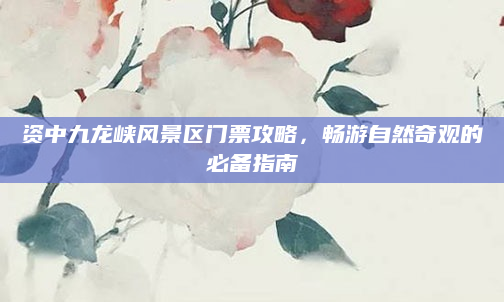 资中九龙峡风景区门票攻略,畅游自然奇观的必备指南