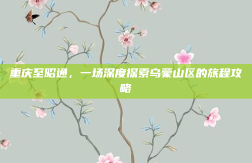 重庆至昭通,一场深度探索乌蒙山区的旅程攻略