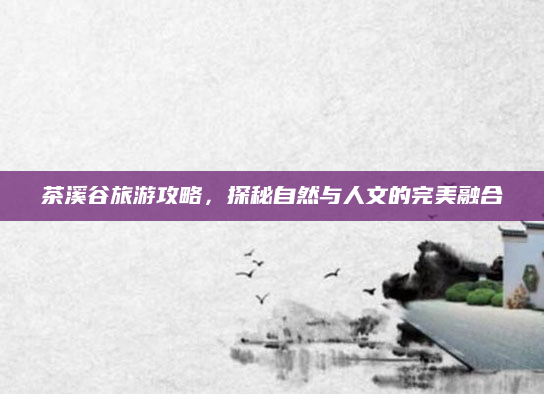 茶溪谷旅游攻略,探秘自然与人文的完美融合